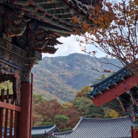 Seoul Lantern Festival à Cheonggyecheon : est-ce que ça vaut le coup ? (2026)